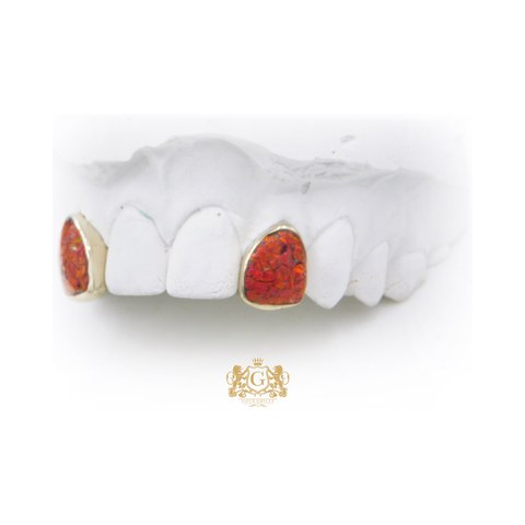 Two Opal Teeth